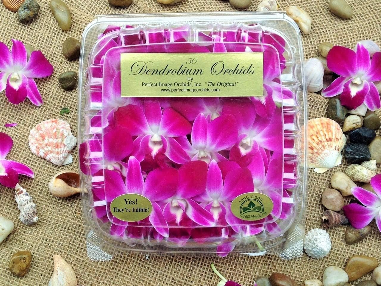 Product Review: Edible Orchids vs. Ruby Necklace vs. DecoBlooms Living White Orchid