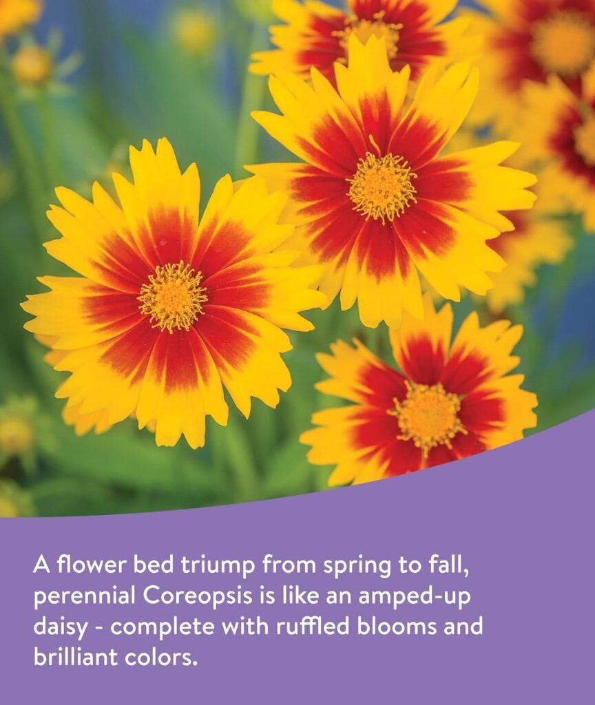 Burpee Wildflower Seed Mix for Pollinators