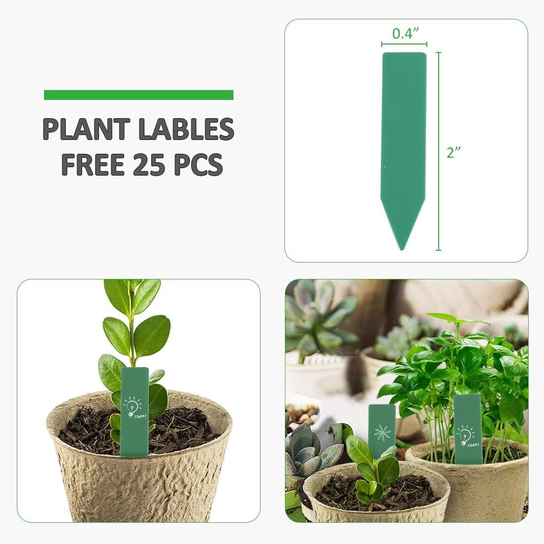 Comparing 3 Biodegradable Seed Starter Kits