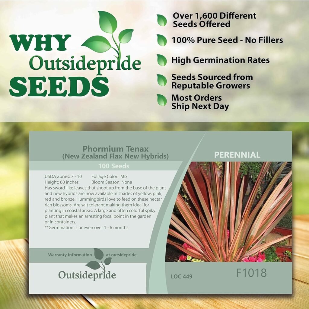 Outsidepride 200 Seeds Perennial Phormium Tenax New Zealand Flax New Hybrids Oramental Grass Seed for Planting
