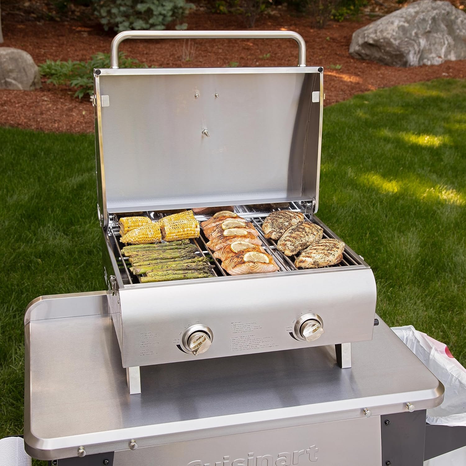 Ultimate Portable Grills Comparison: Cuisinart vs Charcoal Models